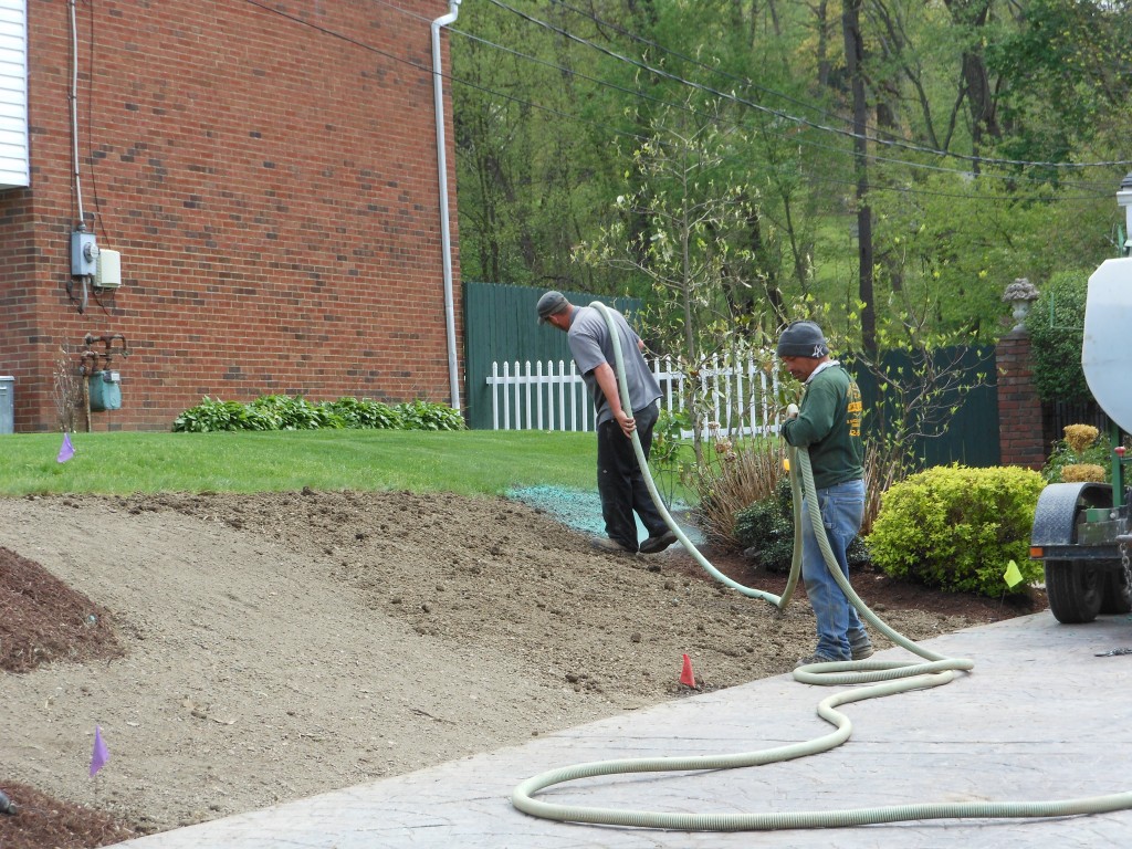 Lawn Repair and Replacement Pittsburgh