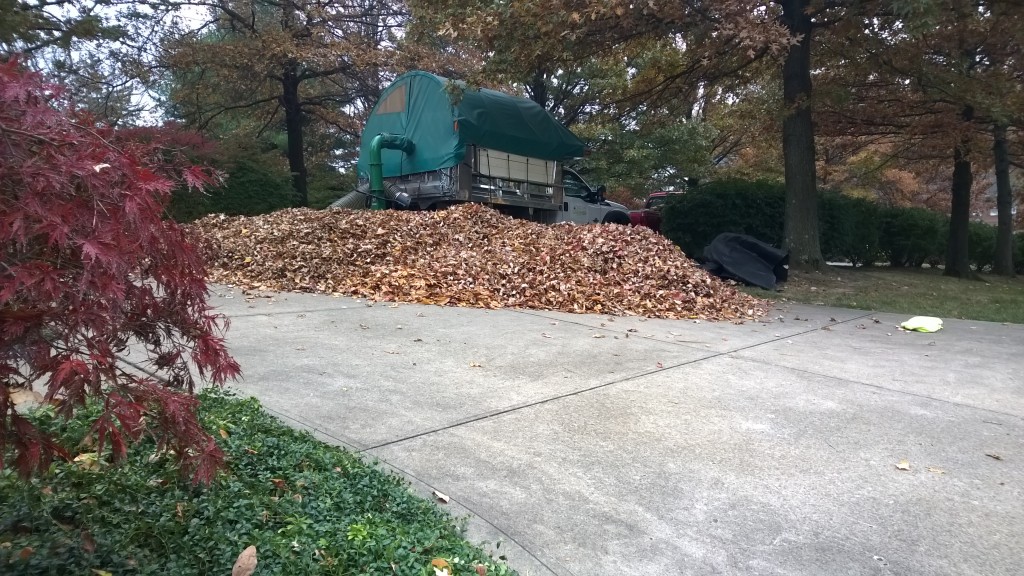 Leaf Removal Pittsburgh
