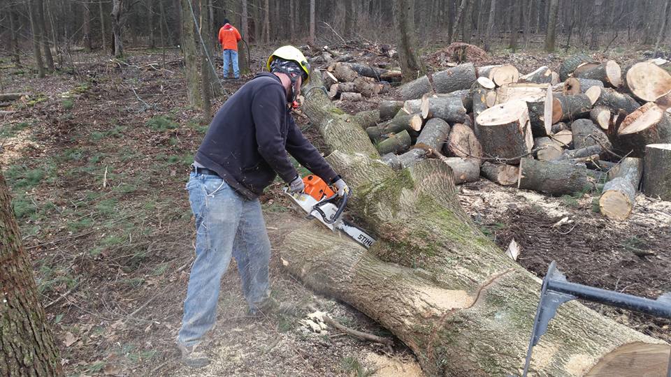 Stump Removal Services Pittsburgh