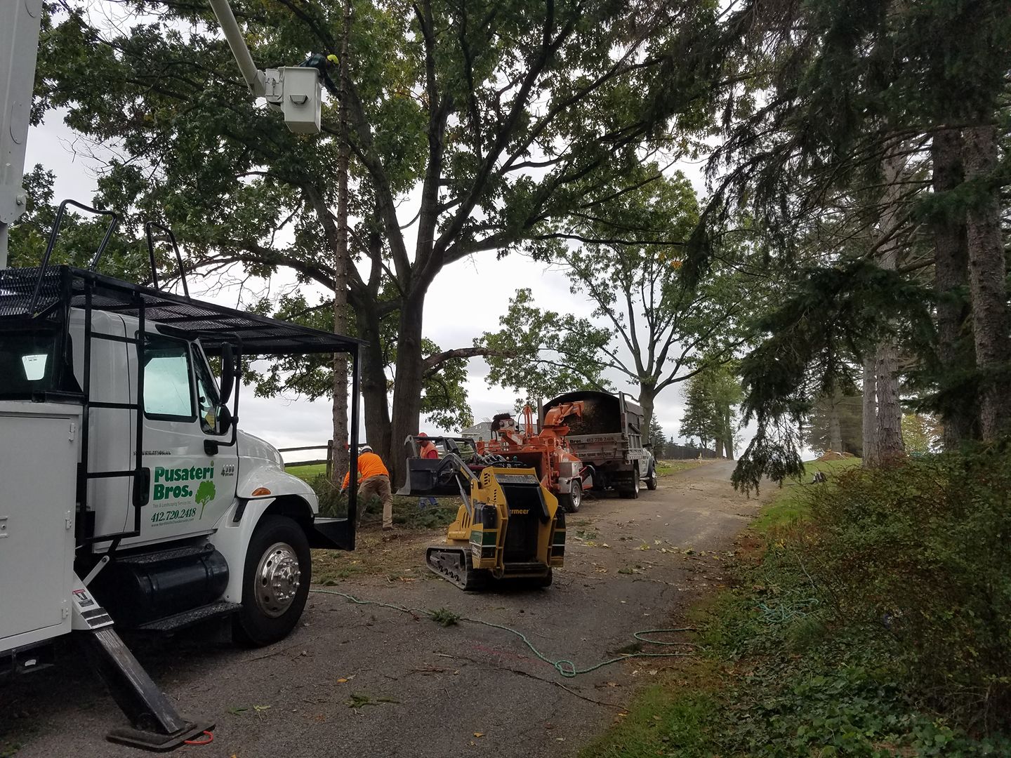 Tree Removal Equipment North Hills
